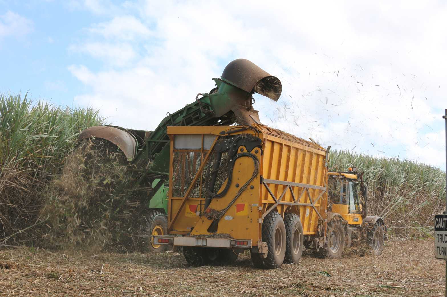 Cost, lack of diesel and fertiliser adding 8m to cane growers bottom line